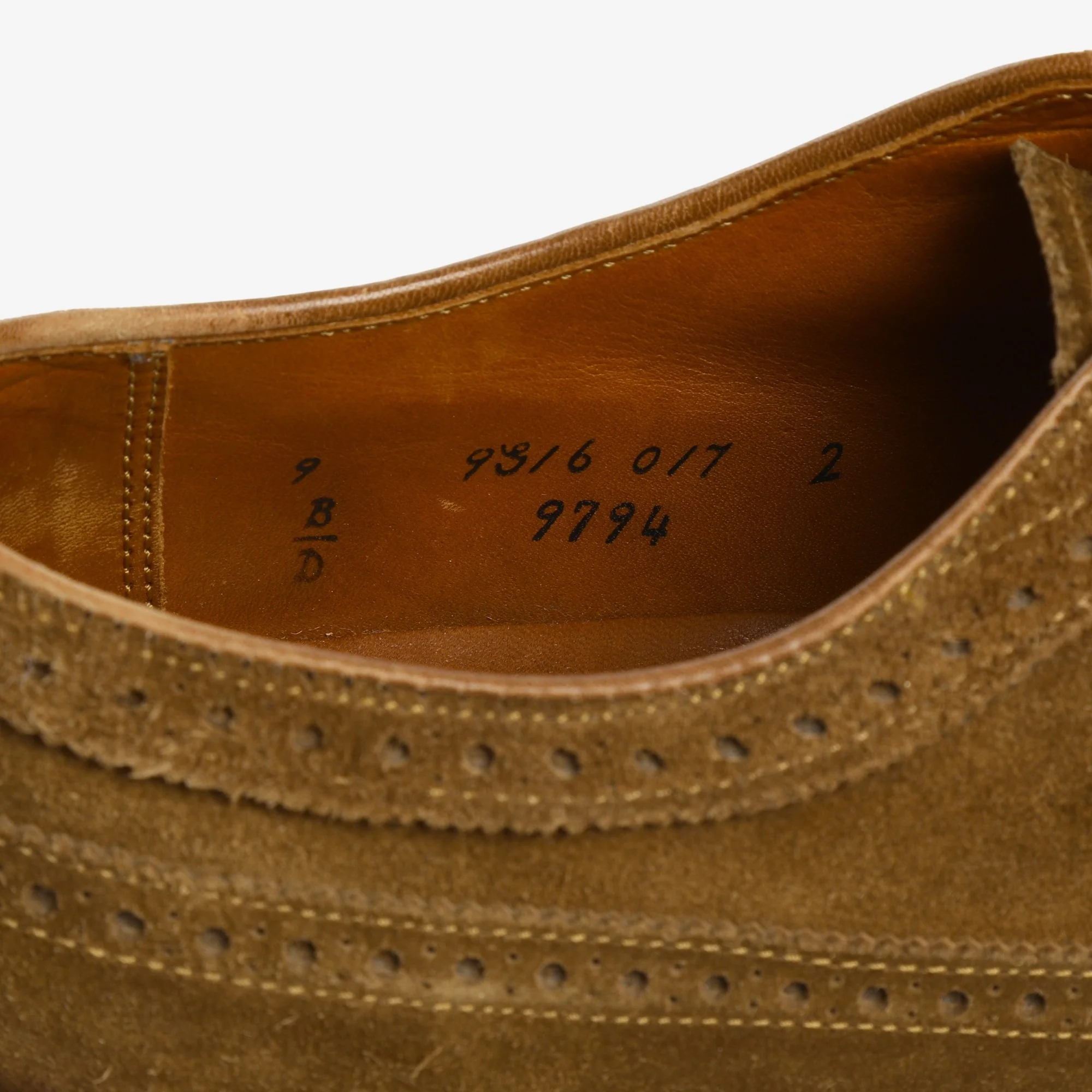 Long Wing Blucher - Image 6