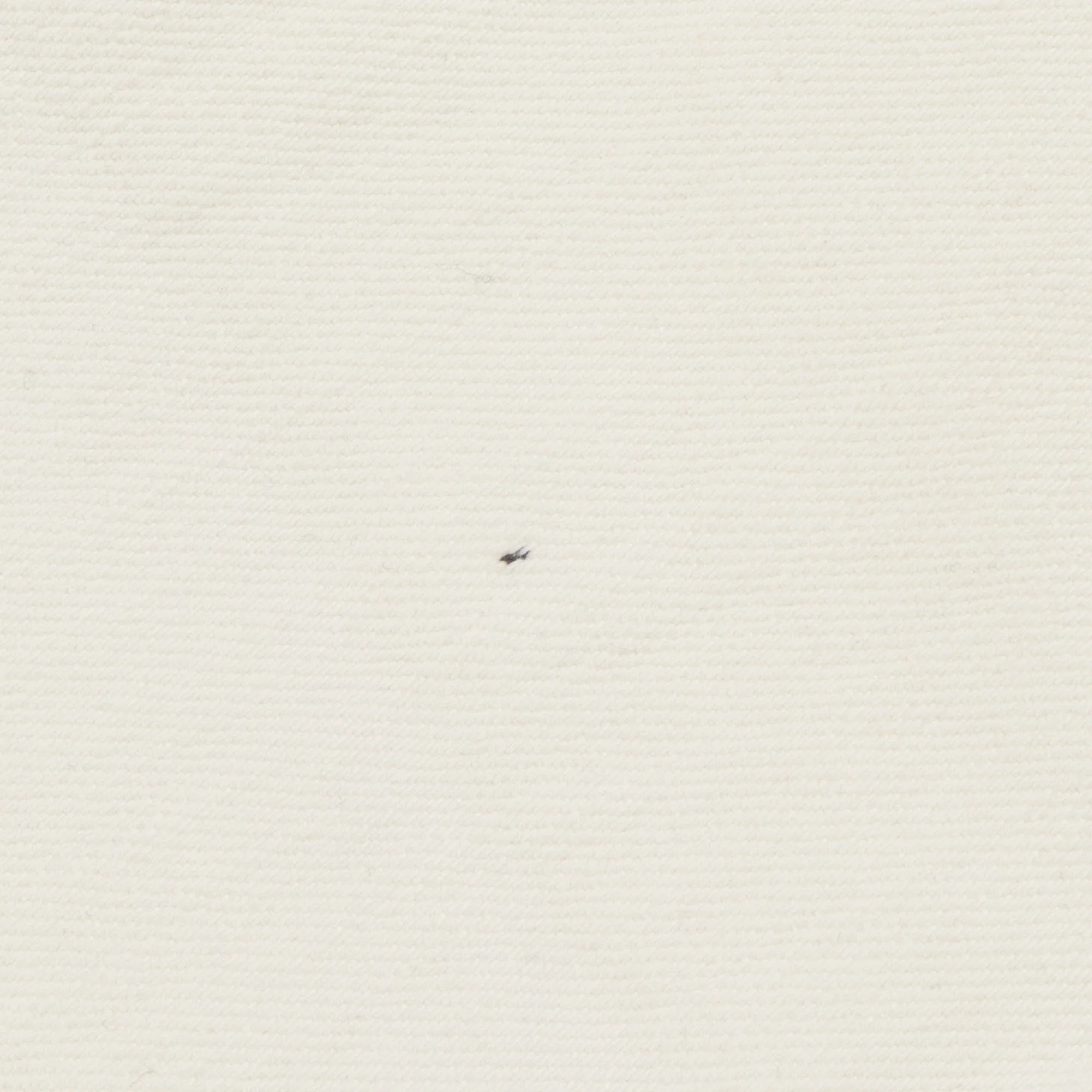 Slim Fit Denim - Image 3